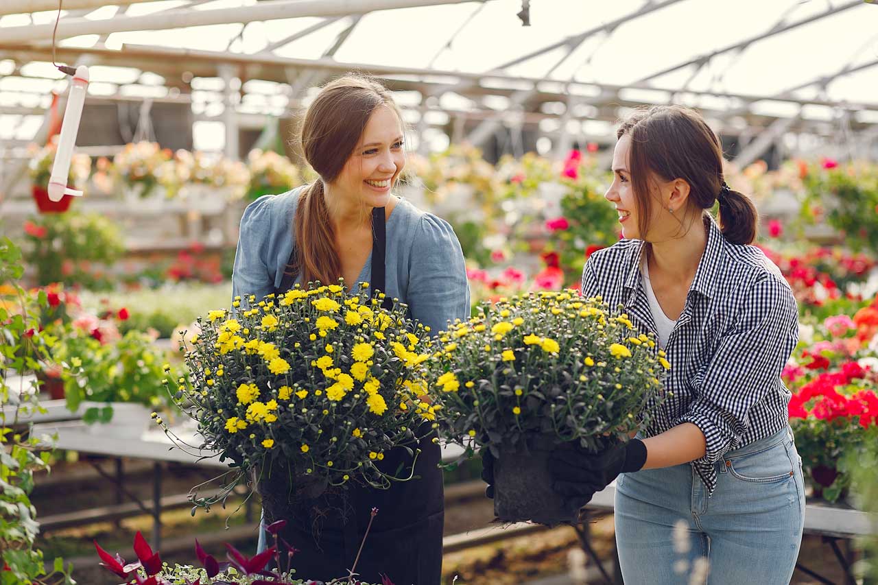 What You Can Grow In Shady Spaces