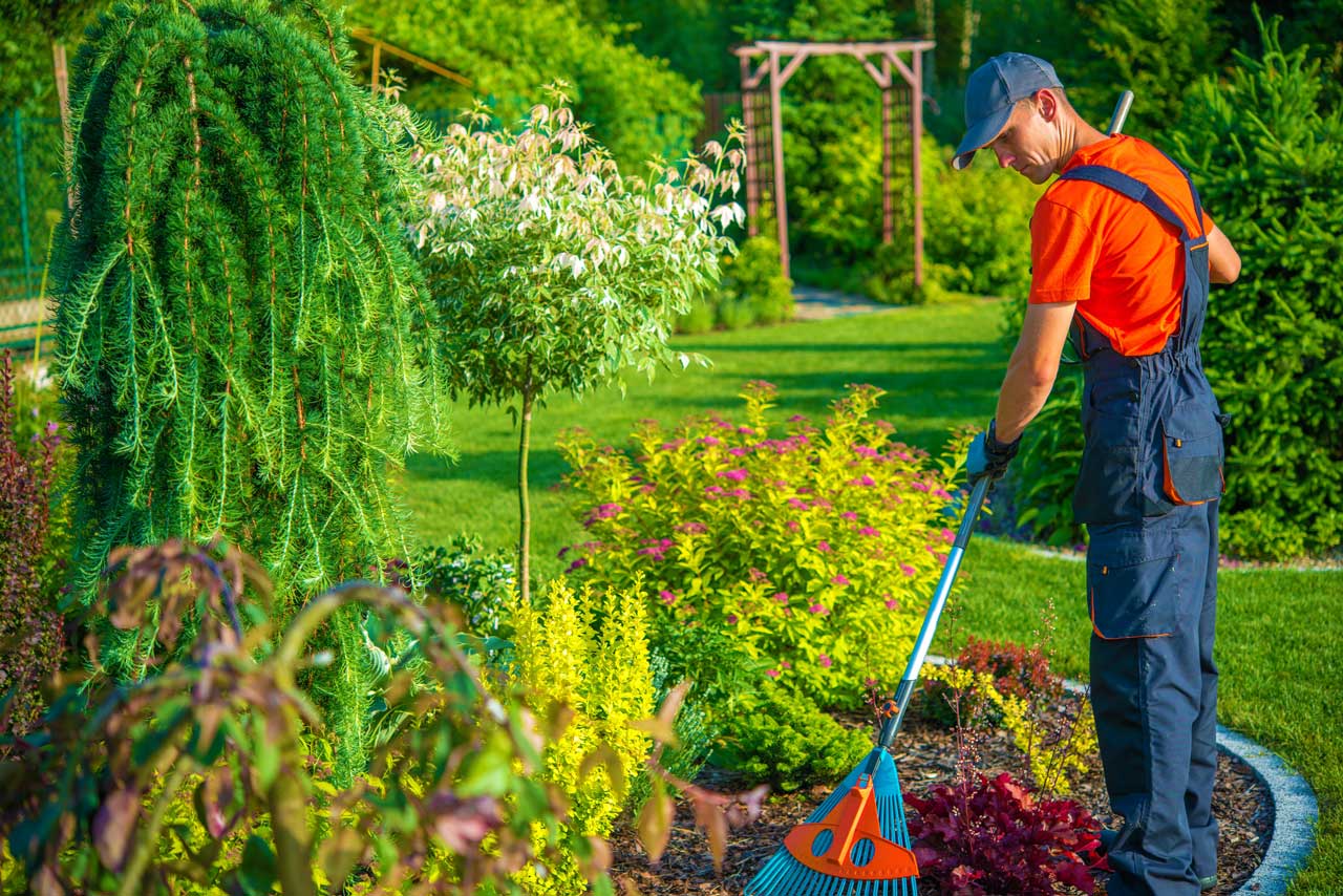 How to Get Rid of Crabgrass for Good