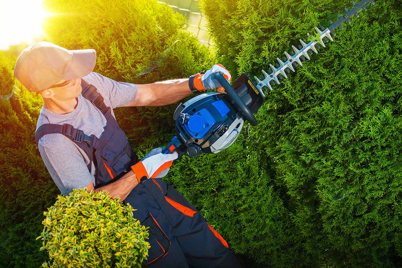 Why The Landscaper Is The Best For Business