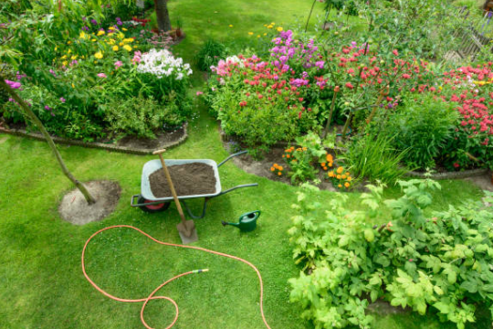 Garden & Flower bed Services Austin texas