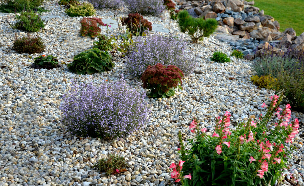 Garden Bedding Austin