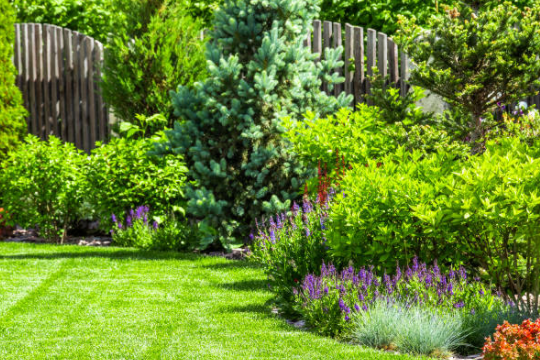 Landscaping Services Austin Texas