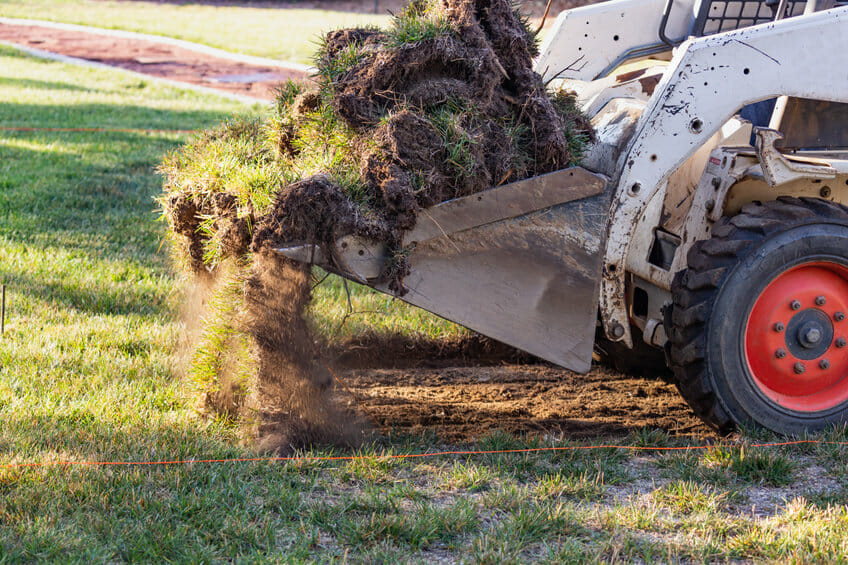 Lawn Care Services Austin Texas